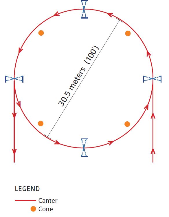 liz ashton on show jumping and supple jumping horses. Exercise to help horse stay supple, serpentine over fence, jumping horse on a circle, fences horses, flatwork horses