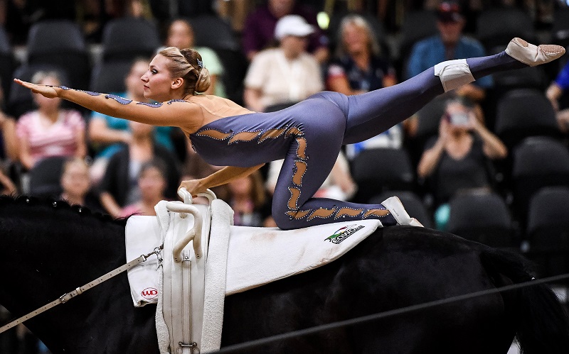  Jumping, Vaulting, and Para-Dressage at Tryon 2018 FEI World Equestrian Games (WEG) Box Qutie Anna Freskgård Tryon Equine Hospital show jumping world equestrian games vaulting weg para-dressage, grooms at world equestrian games