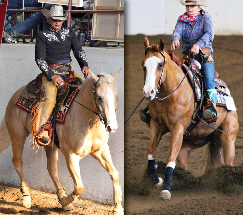 kelly plitz reining, colten powell show jumping, colten powell bronc rider, kelly plitz reining, tina thompson eventing, tina thompson endurance, changing horse discipliens, tania millen