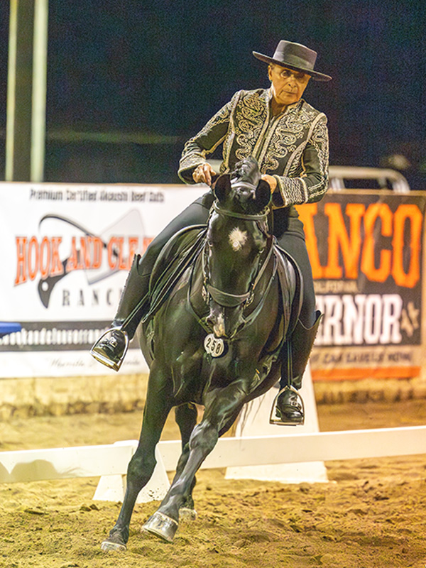 Canadian working equitation rider kerry marit riding, Tania Millen, Working Equitation Canada, WECan, working equitation, Working Equitation World Championships, WAWE, Canada working equitation team, Canadian working equitation, equestrian sport Canada
