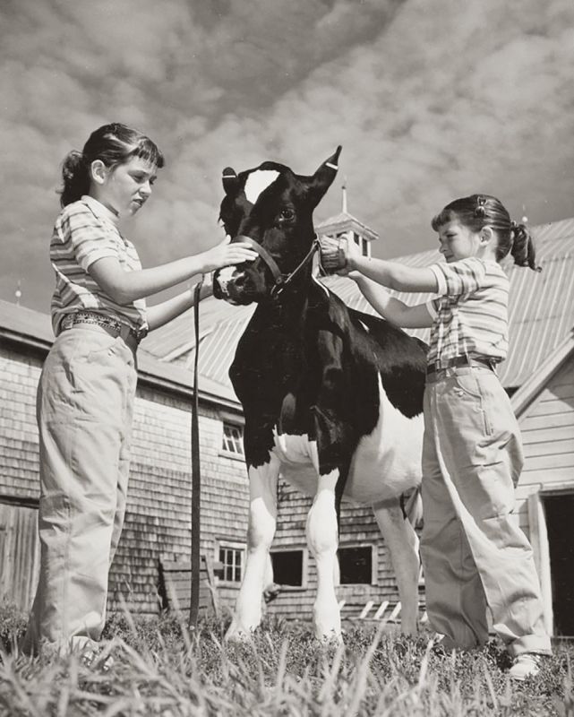 what is 4-h? how do I sign my child up for 4-h? 4-h riding lessons, horses in 4-h, shelagh niblock, what is a 4h project?