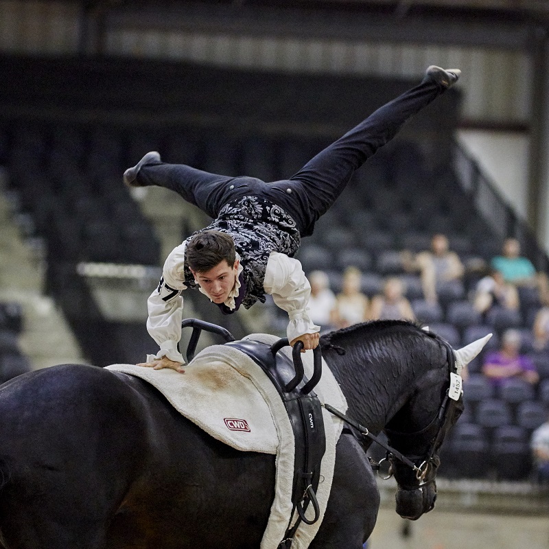  tryon world equestrian games 2018 Para-Dressage web Vaulting world equestrian games Jumping web Driving World Equestrian Games tryon equestrian centre, lauren barwick, sophie wells, Stinna Tange Kaastrup, kristina boe, lambert leclezio, simone blum, steve guerdat, boyd excel, chester weber