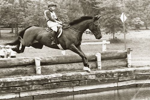 riding horses middle-age, older person wants to ride horses, how to start riding horses senior, grit high dressage,lorraine laframboise equestrian, sandra sokolosky riding horses