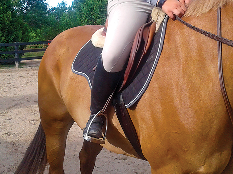 canter lead, correct canter lead, horse picks up wrong lead, lindsay grice horse trainer, my horse doesn't canter right, exercises to improve canter