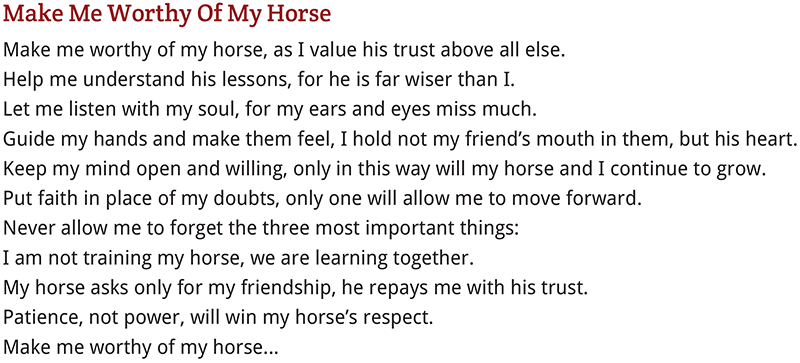 horse trailering, horses trailers, worthy of horse, good to your horse, respect your horse, pressure-free horse training methods