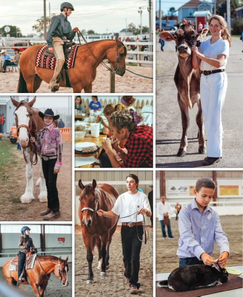 what is 4-h? how do I sign my child up for 4-h? 4-h riding lessons, horses in 4-h, shelagh niblock, what is a 4h project?