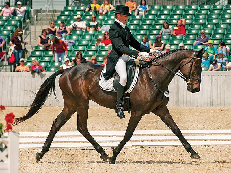 tania millen, pony club, how to join canadian pony club, history of pony club, brian morton pony club, karl slezak pony club, alberta north pony club, jill irving youth riding, prentice creek equestrian centre