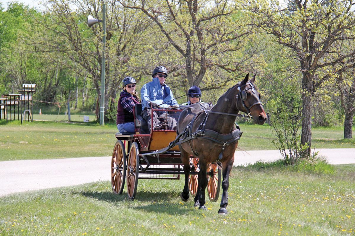 Manitoba Horse Council News 2019