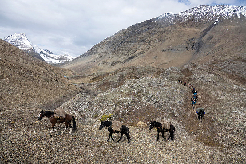 horse riding vacations in bc, holidays on horseback, muskwa-kechika horse rides, tania millen, wayne sawchuk