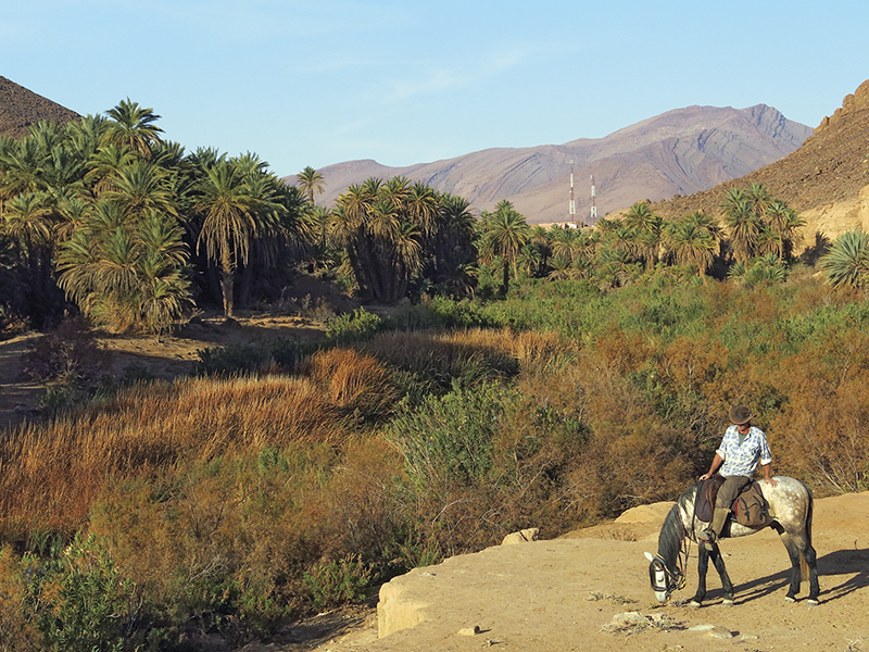 vacationing with horses, holidaying with horses, horse riding abroad, local horse riding, horse riding adventure, morocco sahara horses, tania millen