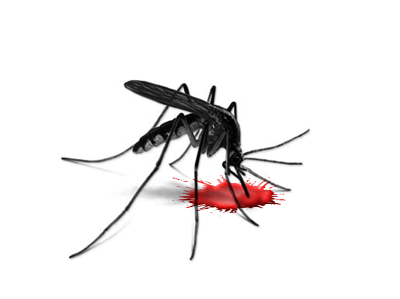 horse illness mosquito-borne, eastern equine encephalitis, western equine encephalitis