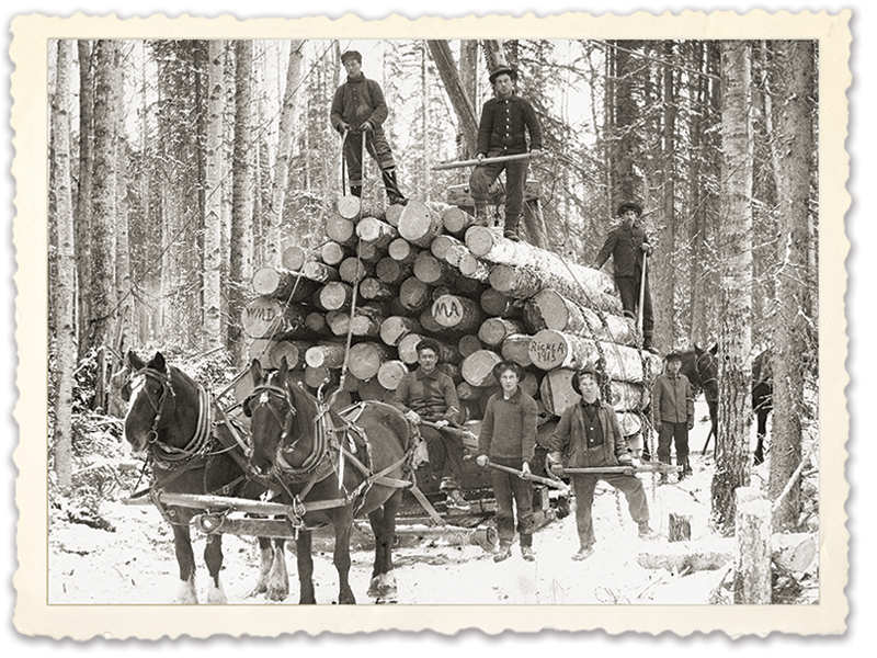 history of horses in canada, canadian horse history, Sir Donald Smith, Edward Mallandaine, canadian equine history