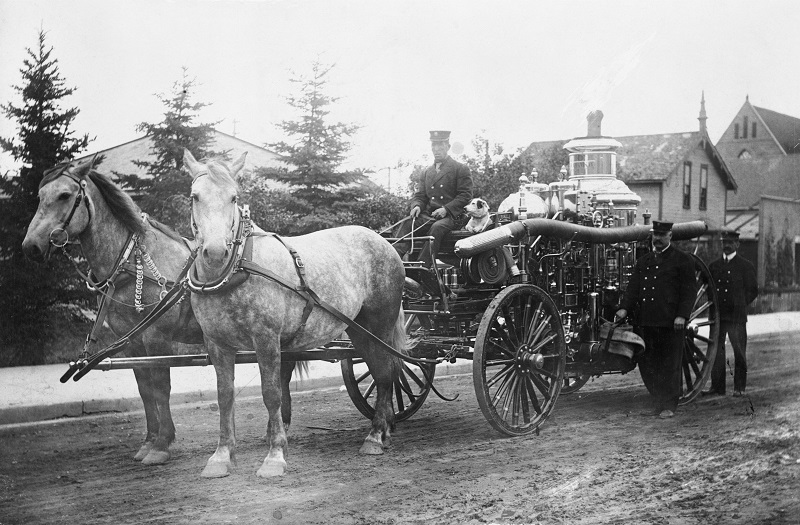 horses in canadian history, fire horses, horses used for fire trucks horse drawn fire engine