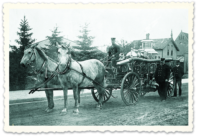 history of horses in canada, canadian horse history, Sir Donald Smith, Edward Mallandaine, canadian equine history