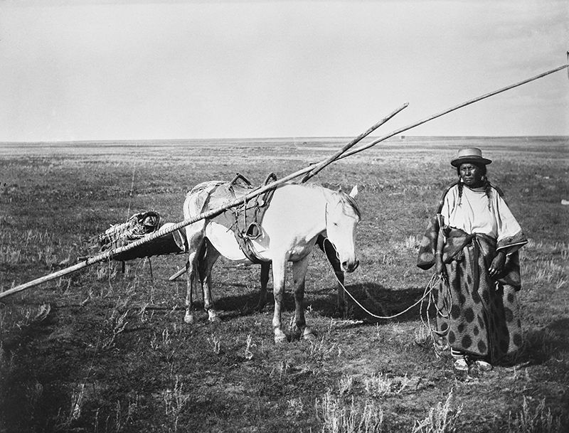 history of horses in canada, canadian horse history, Sir Donald Smith, Edward Mallandaine, canadian equine history