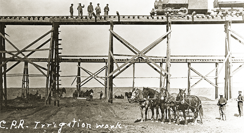 history of horses in canada, canadian horse history, Sir Donald Smith, Edward Mallandaine, canadian equine history