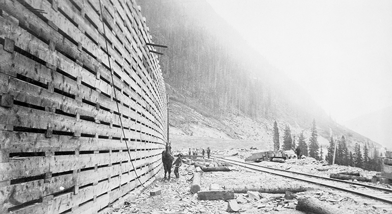 history of horses in canada, canadian horse history, Sir Donald Smith, Edward Mallandaine, canadian equine history