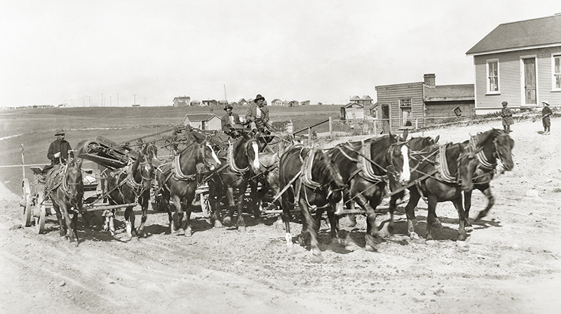 history of horses in canada, canadian horse history, Sir Donald Smith, Edward Mallandaine, canadian equine history