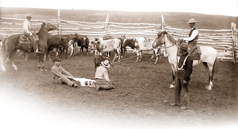 history of horses in canada, canadian horse history, Sir Donald Smith, Edward Mallandaine, canadian equine history