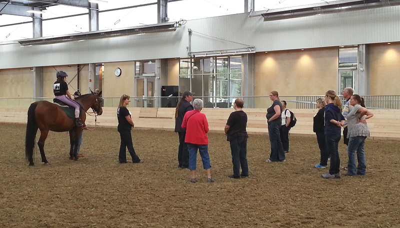 whitemud equine centre, welca, therapeutic riding