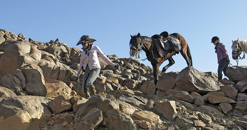 vacationing with horses, holidaying with horses, horse riding abroad, local horse riding, horse riding adventure, morocco sahara horses, tania millen