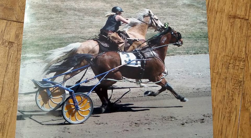 Racetrack Outrider Horses, Rachel Alexandra, Janice Lea Rocky Mountain House, Racetrack Outrider equine, Century Downs Racetrack, horse jobs Racetrack Outrider Horses