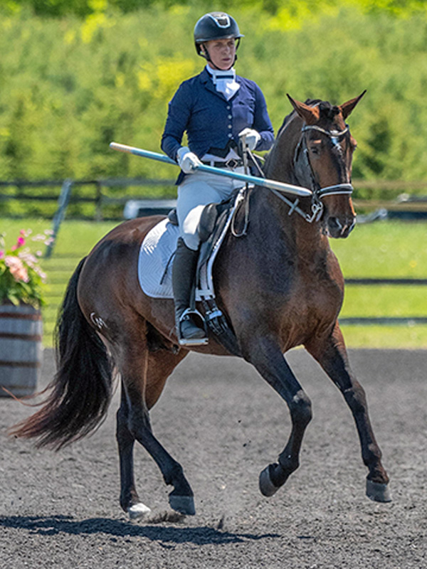 Working equitation rider Pam Esteves competing on Lusitano stallion during WAWE qualifier