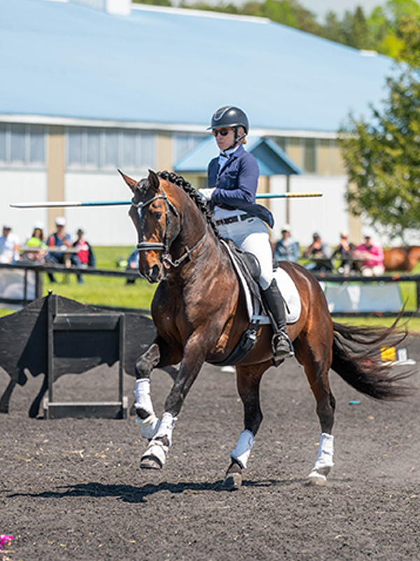 Canadian working equitation competitor pam esteves riding at wawe world qualifier