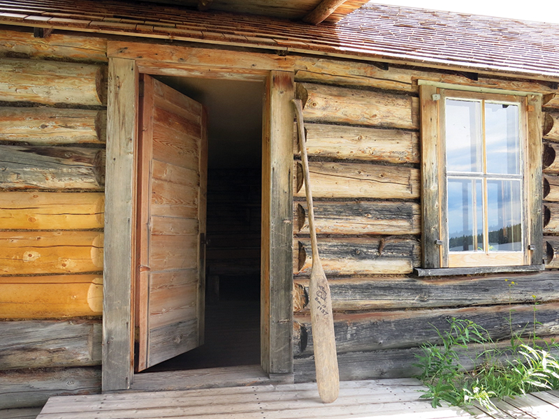 riding with bison in canada, bison in the canadian wilderness, horse riding with bison, Bison in Grasslands National Park