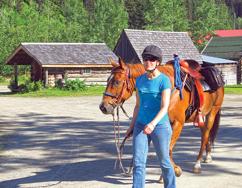 horse camping tips, some ways to improve horse camping, go camping with your horse