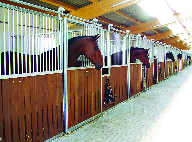 design Horse Stall layout, Eileen Wheeler, Ph.D., Professor of Agricultural Engineering, dimensions of horse stall, ventilating horse stall, equine respiratory, lights for horse stall, flooring for horse stall