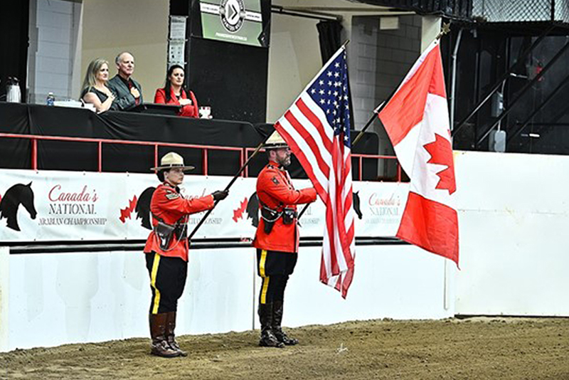RCMP honour guard presents the Canadian and American flags during the opening ceremony at Canada's National Arabian Championship.
