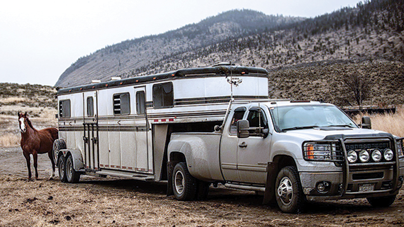 transporting horses, how to ship my horse, moving my horse, easing stress horse transport, kevan garecki, preparing my horse for emergency