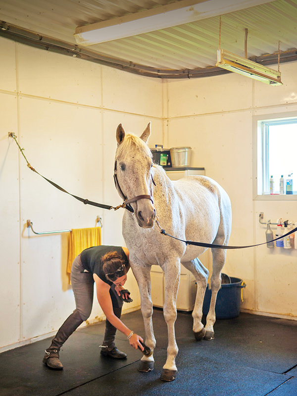 how do I find a contractor for horse barn? How to choose a contractor for horse barn, things to ask your potential horse barn contractor, building a horse barn