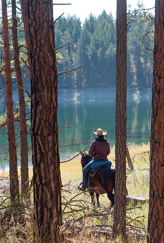 reputable horse riding vacations, Bar W Guest Ranch