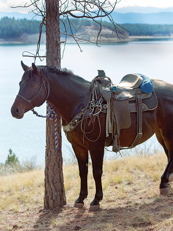 reputable horse riding vacations, Bar W Guest Ranch