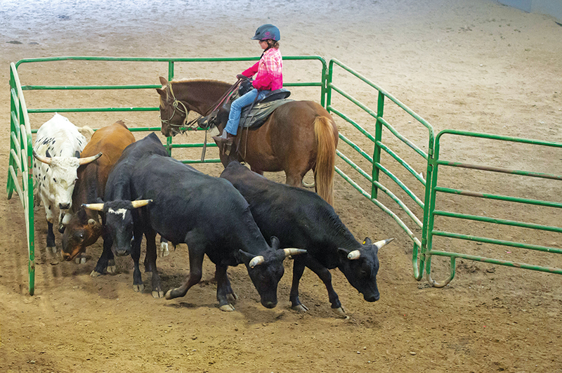 reputable horse riding vacations, Bar W Guest Ranch