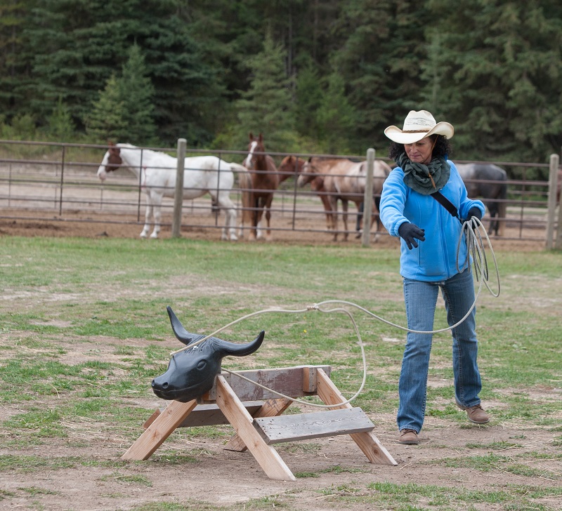 horse riding holidays canada, vacationing with horses, shawn hamilton, anchor d guiding, bar w guest ranch, brewster adventures, flying u ranch, alberta horse riding, ontario holiday riding