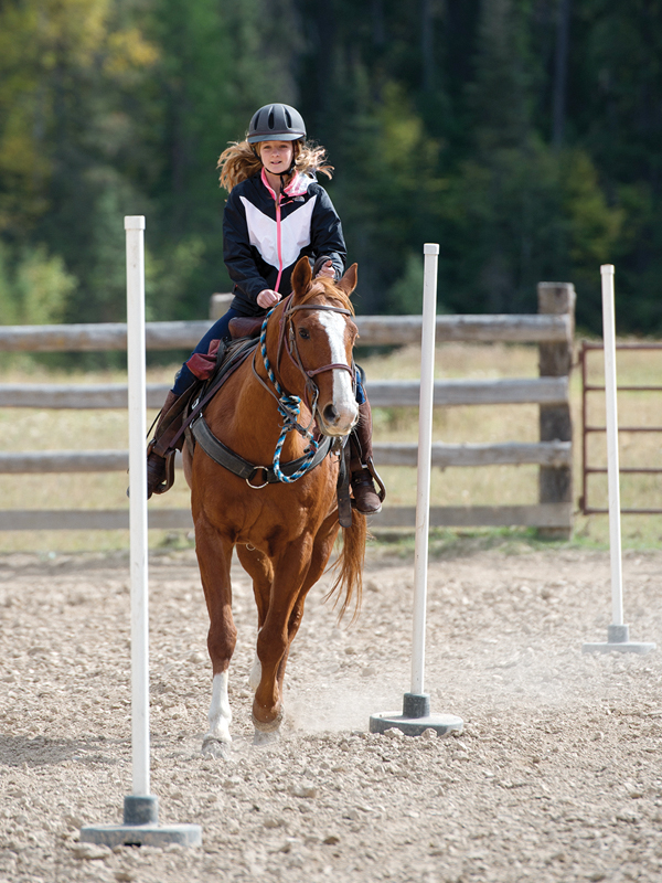 reputable horse riding vacations, Bar W Guest Ranch