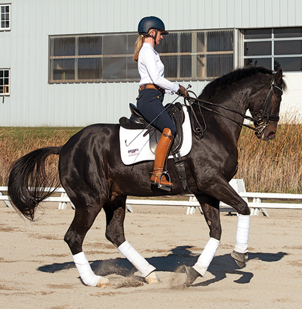 canter pirhouettes, cow horse stops, reining spin, footfalls reining, clix photography, tania millen, shawna sapergia, vern sapergia, cow horse turnaround, how to turn reining horse around, canter turns