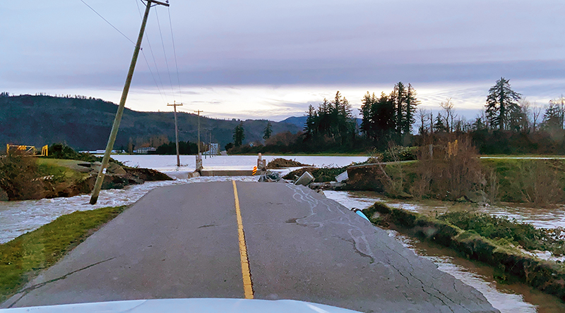 equine emergency preparedness, horses stuck flooding, preventing barn fire, emergency services horses, help for horses disaster, kevan garecki, bc flooding horses