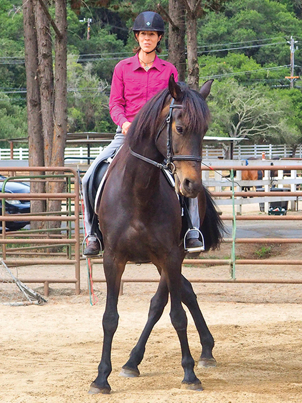 jec a ballou training exercises, trail riding exercises, core exercises horse, jec a ballou