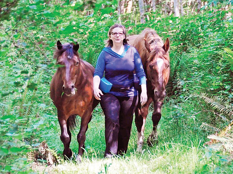 clicker training horses, a guide to clicker training, clicker training how-to, alexa linton, horse behaviour positive reinforcement, resources horse positive training, natural horsemanship