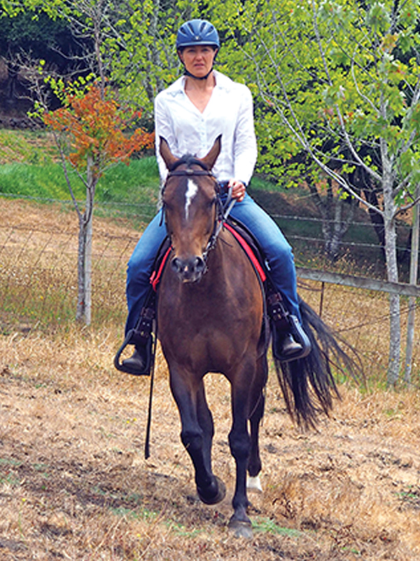 jec a ballou training exercises, trail riding exercises, core exercises horse, jec a ballou