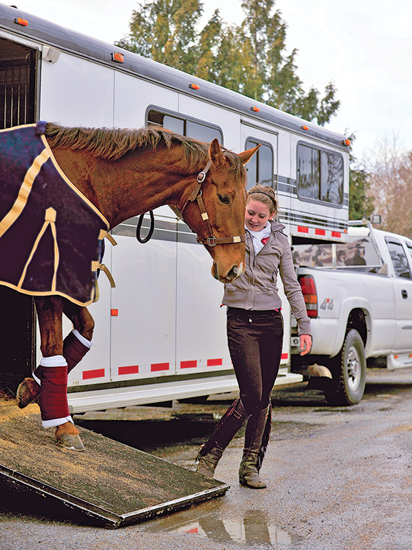 transporting horses, how to ship my horse, moving my horse, easing stress horse transport, kevan garecki, preparing my horse for emergency