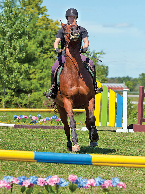 horse has anxiety, horse is tense, horse rushing over jumps, slow a horse before jumps
