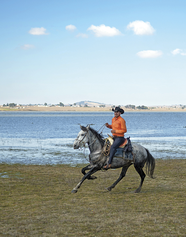 horse riding holidays canada, vacationing with horses, shawn hamilton, anchor d guiding, bar w guest ranch, brewster adventures, flying u ranch, alberta horse riding, ontario holiday riding