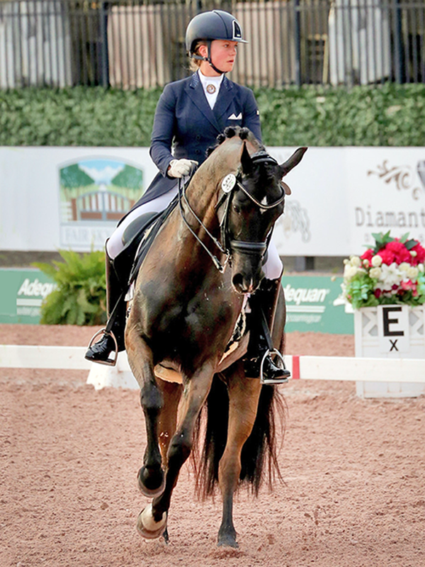 canter pirhouettes, cow horse stops, reining spin, footfalls reining, clix photography, tania millen, shawna sapergia, vern sapergia, cow horse turnaround, how to turn reining horse around, canter turns