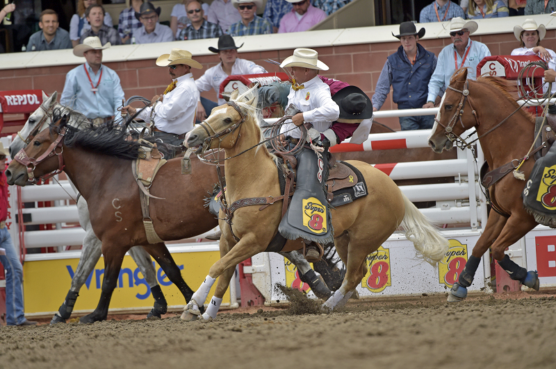 Horses Jobs, equine jobs, Rodeo Pick-Up Horses, gary rempel rodeo