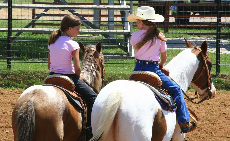 horse riding accidents, should i wear a riding helmet, how to safely ride a horse, gear for horse riding, beginner rider equipment, concussion horse riding, insurance for horse riding